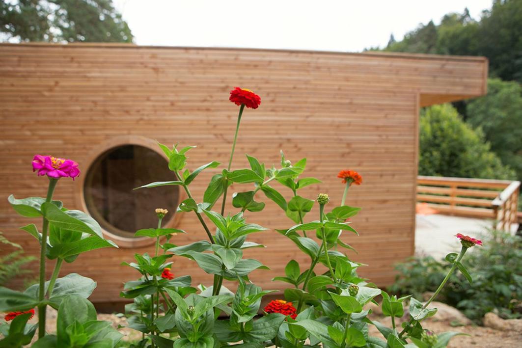 Bed and Breakfast La Roche Aux Fees Lapte Exterior foto